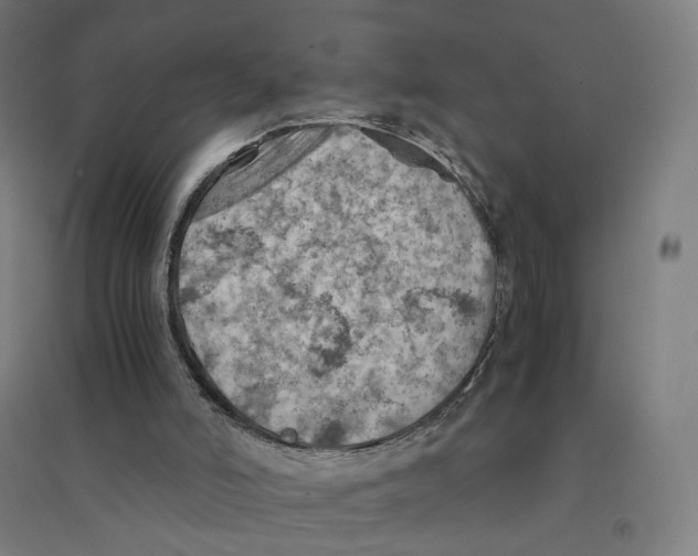 X0000094450006200712061211