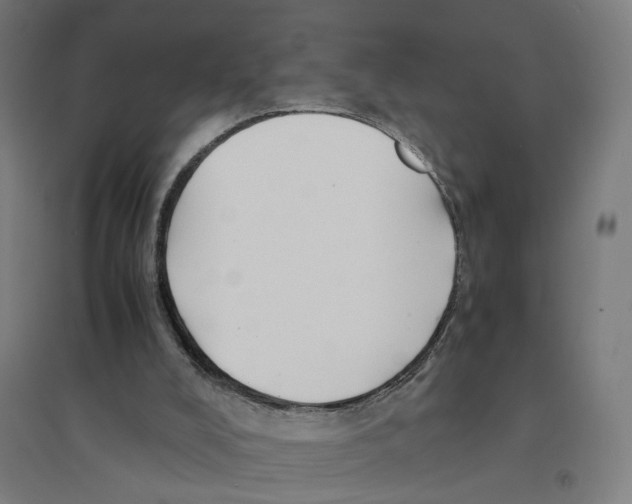 X0000094450008200712061211