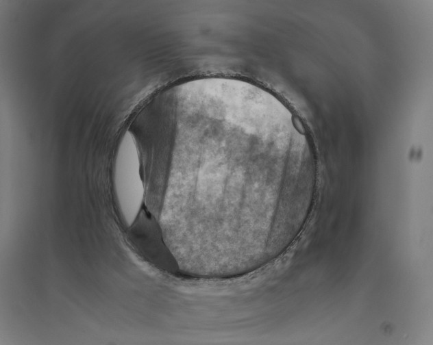 X0000094450009200712061211