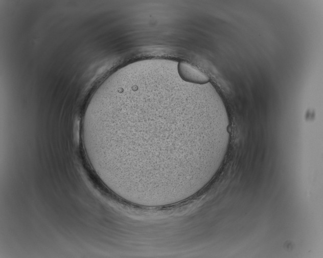 X0000094450014200712061211