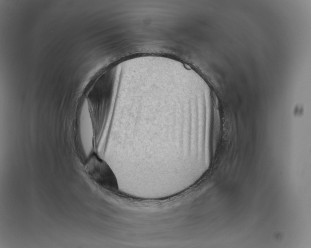 X0000094450015200712061211