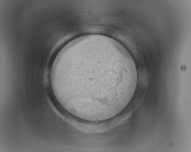 X0000094450016200712061211