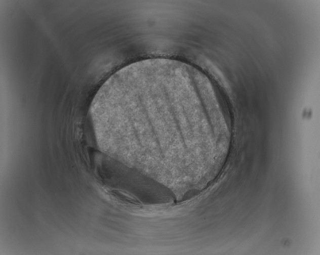 X0000094450017200712061211