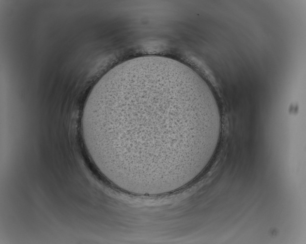 X0000094450018200712061211