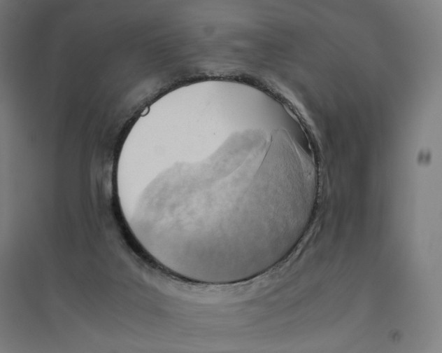 X0000094450019200712061211