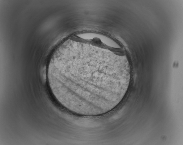 X0000094450020200712061211