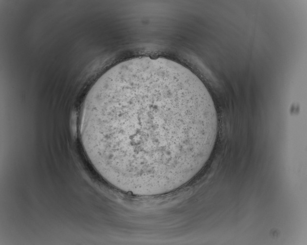 X0000094450022200712061211