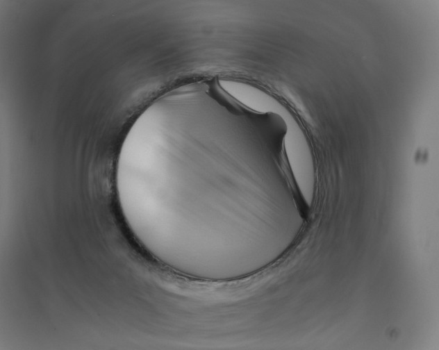 X0000094450023200712061211