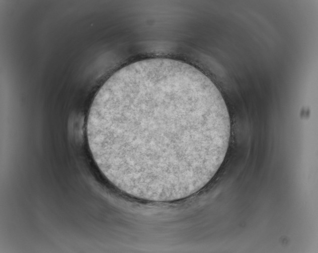 X0000094450024200712061211