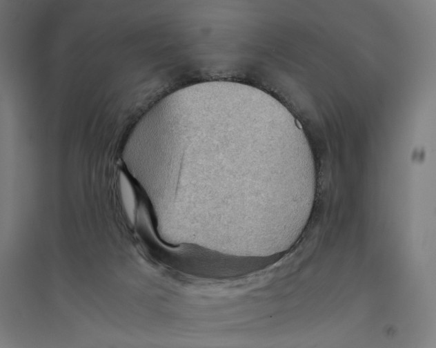 X0000094450025200712061210