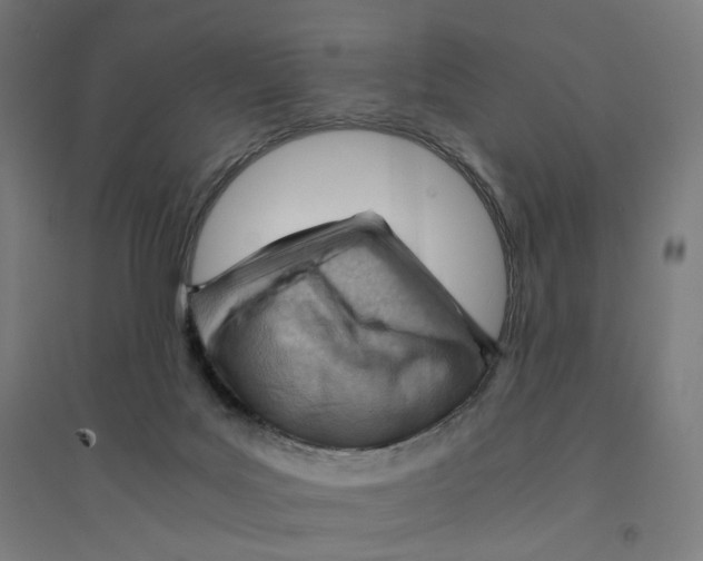 X0000094450027200712061210