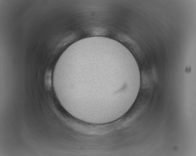 X0000094450028200712061210