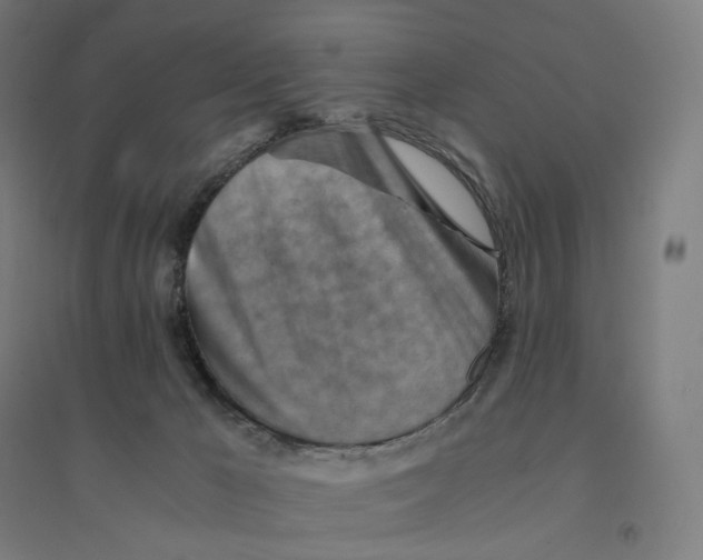 X0000094450029200712061210