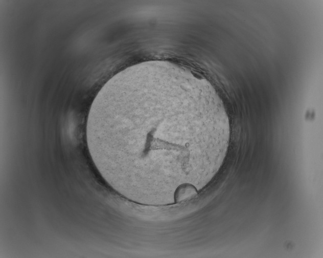 X0000094450030200712061210