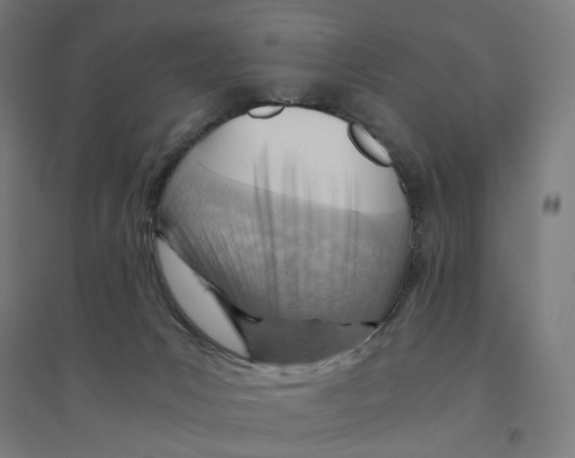 X0000094450031200712061210