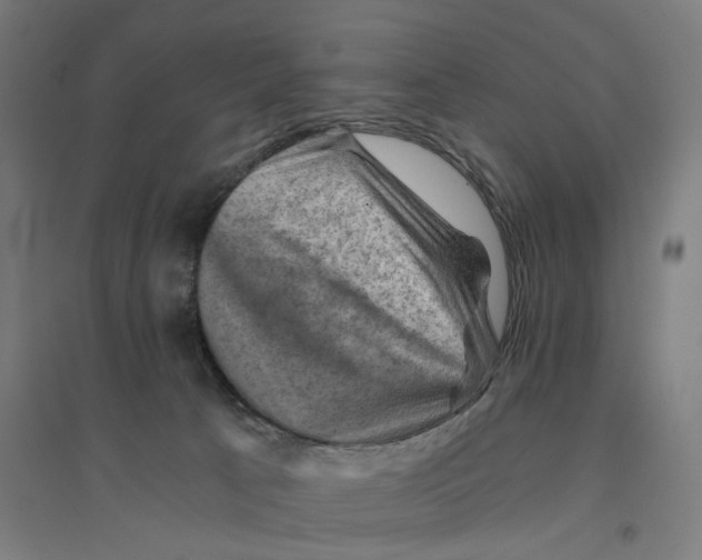 X0000094450033200712061210