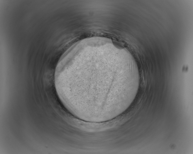 X0000094450034200712061210