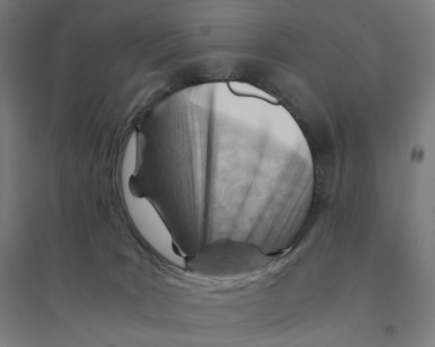 X0000094450035200712061210