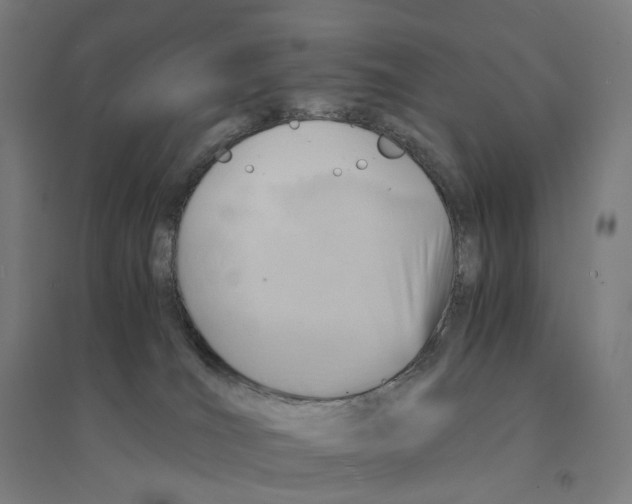 X0000094450036200712061210