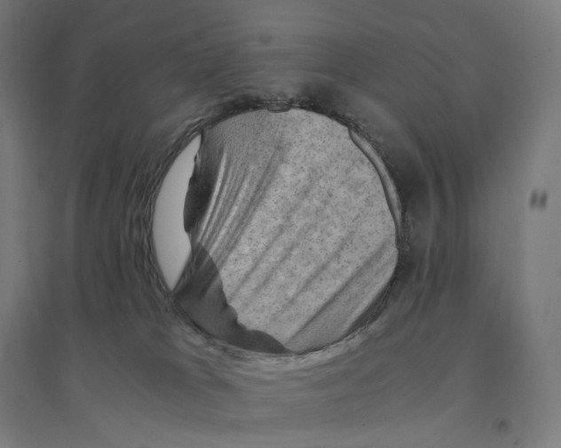 X0000094450037200712061210