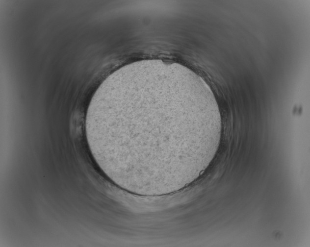 X0000094450038200712061210