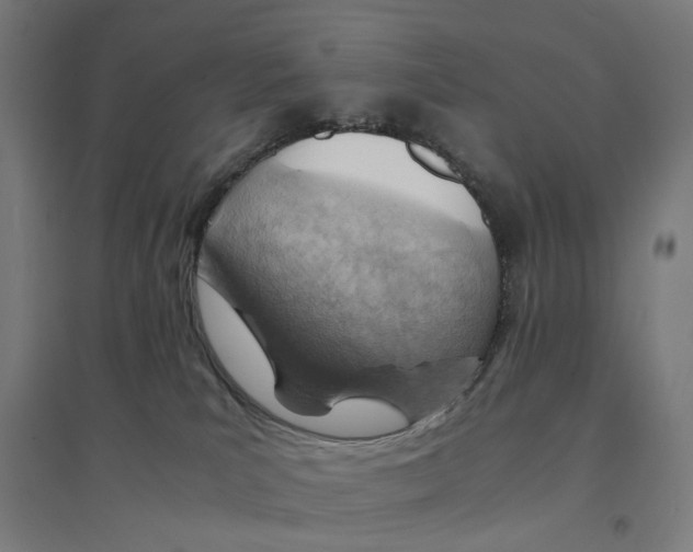 X0000094450039200712061210