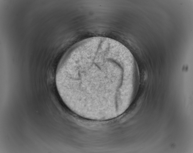 X0000094450040200712061210