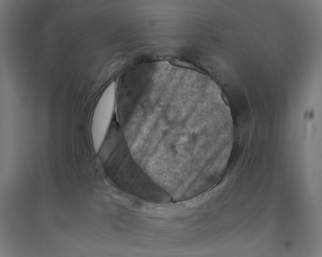 X0000094450041200712061210