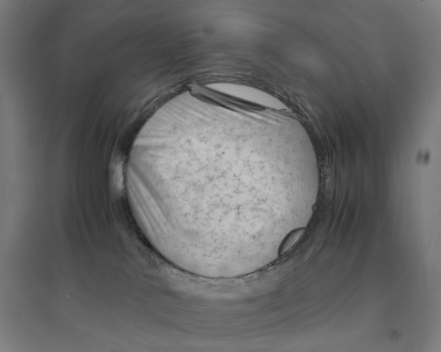 X0000094450042200712061210