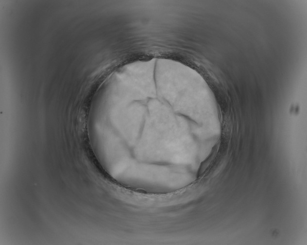 X0000094450043200712061210