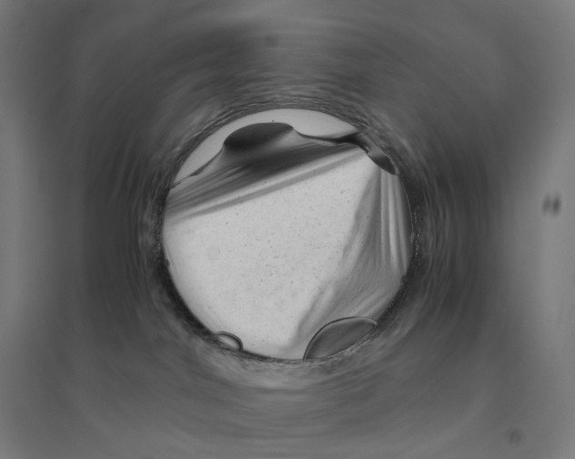 X0000094450044200712061210