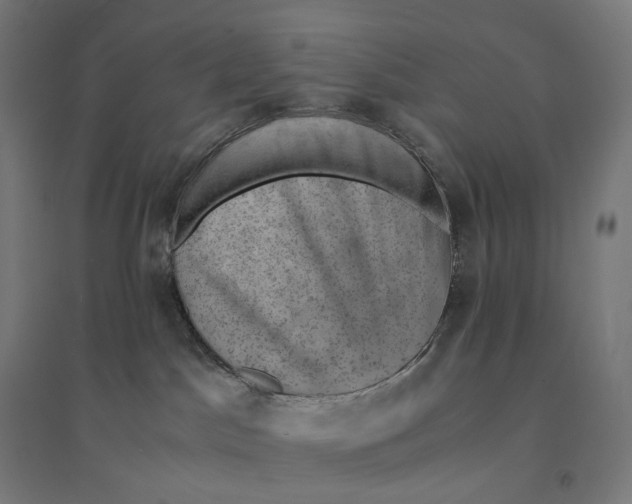 X0000094450045200712061210