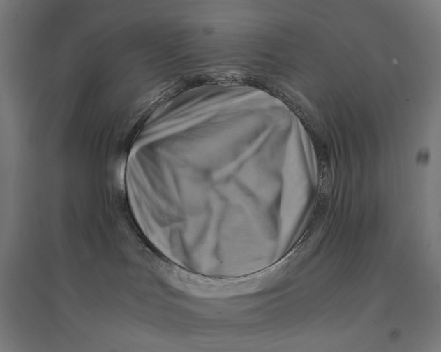 X0000094450047200712061210