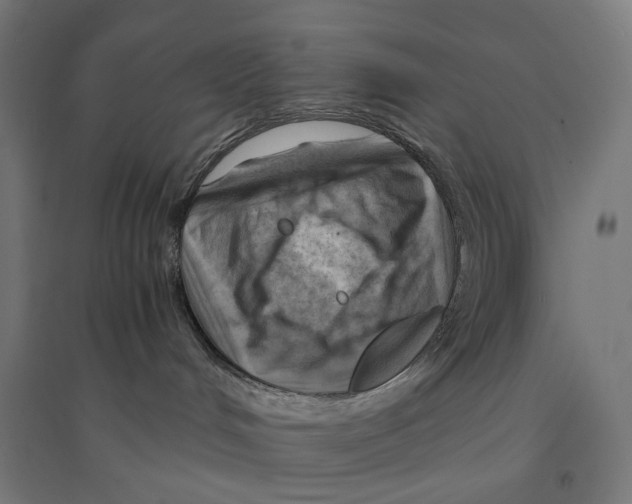 X0000094450048200712061210