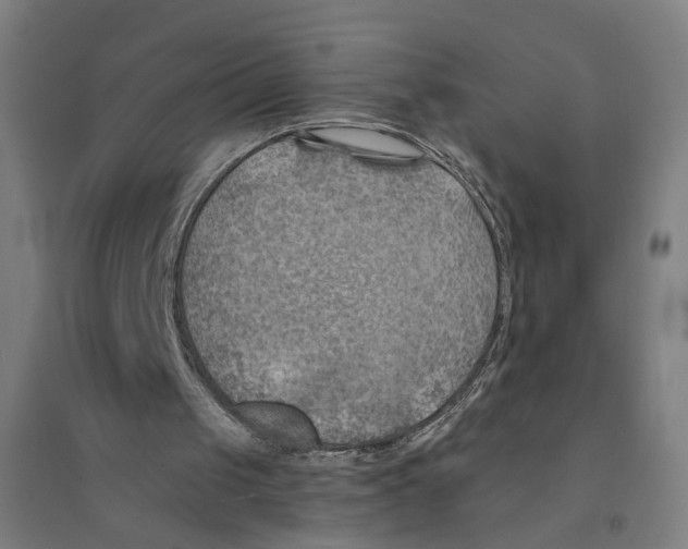 X0000094450049200712061209