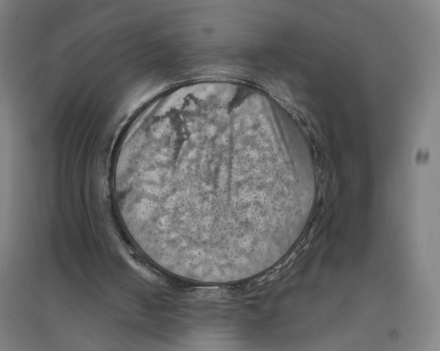 X0000094450050200712061209