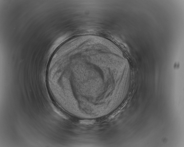 X0000094450051200712061209