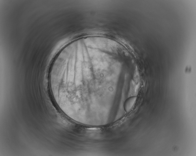 X0000094450053200712061209