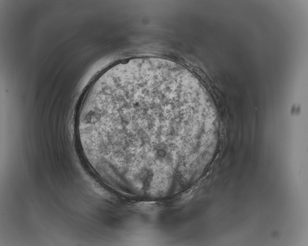 X0000094450054200712061209