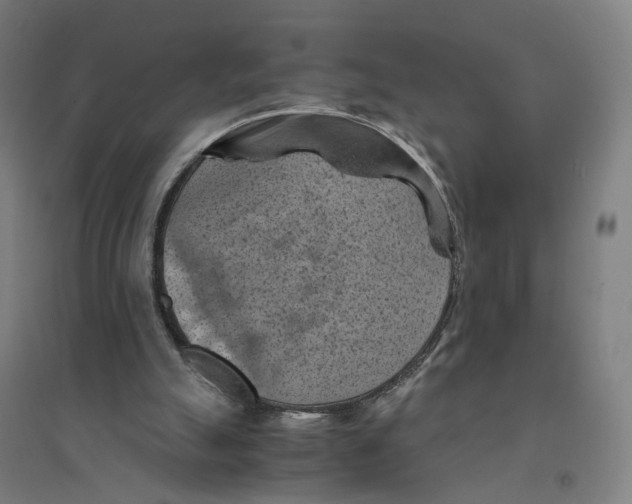 X0000094450055200712061209