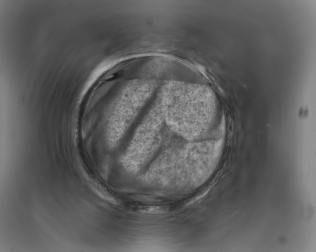 X0000094450056200712061209