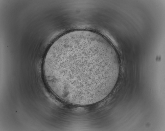 X0000094450058200712061209