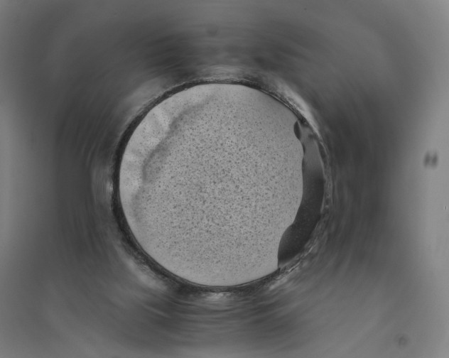 X0000094450059200712061209