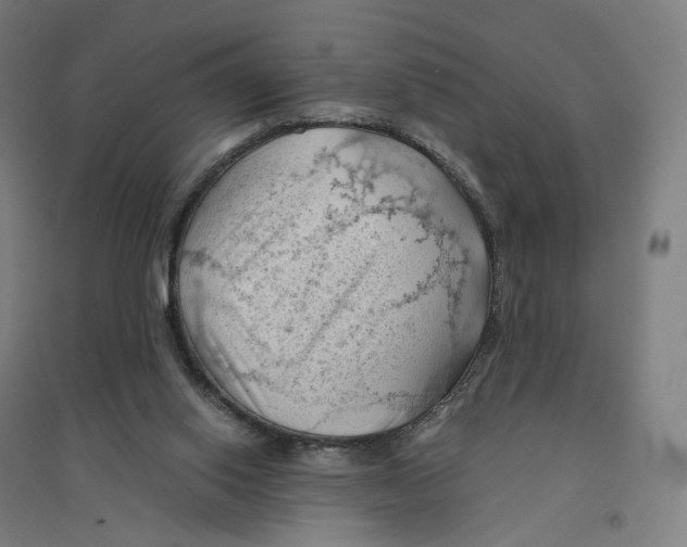 X0000094450062200712061210