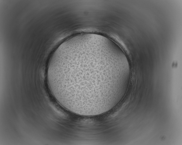 X0000094450063200712061210