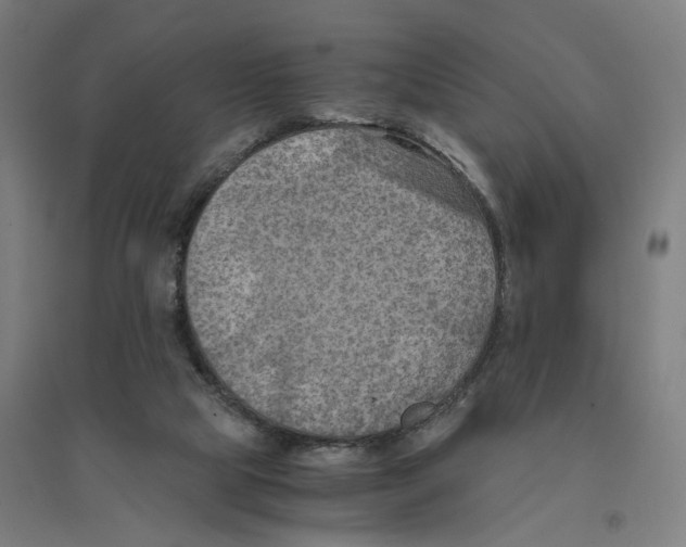 X0000094450065200712061210