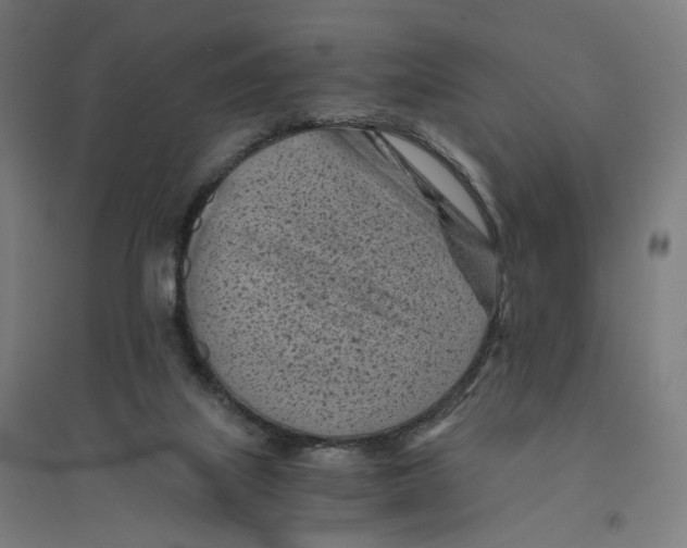 X0000094450067200712061210