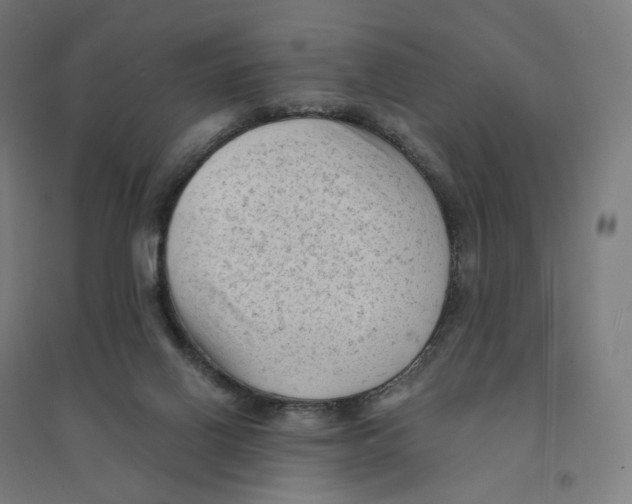 X0000094450070200712061210