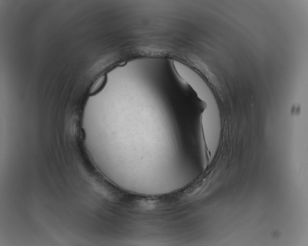 X0000094450071200712061210