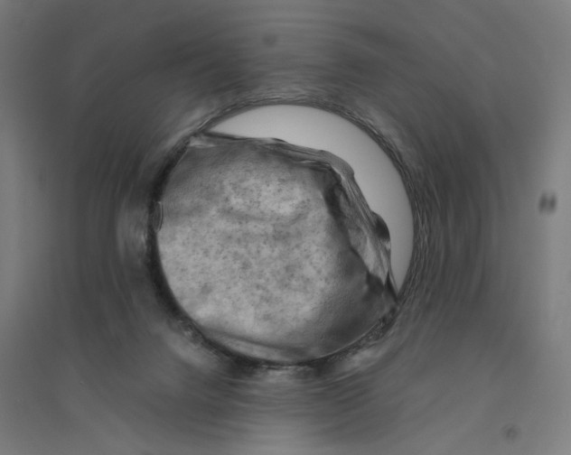 X0000094450072200712061210